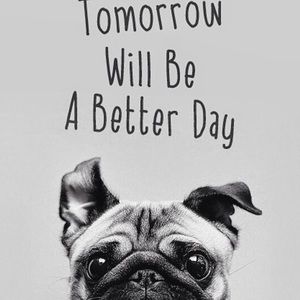 Meet your Posher, Adrea